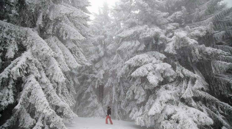 A Kékestetőn havazott /Fotó: MTI-Komka Ferenc