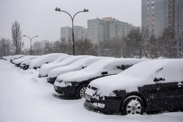 Samochody zasypane śniegiem w Lublinie