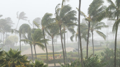Na Florydzie szykują się na huragan. Wprowadzono stan wyjątkowy