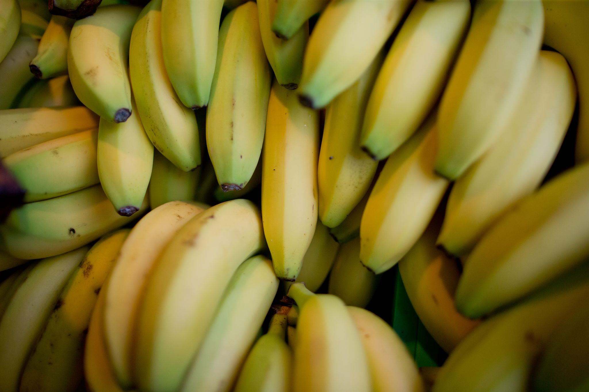 Lieferkettengesetz wirkt: Aldi zahlt Costa-Rica-Bananenarbeitern erstmals Entschädigung