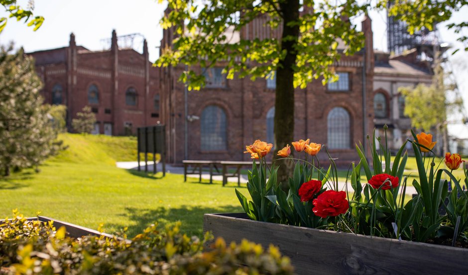 Muzeum Śląskie 