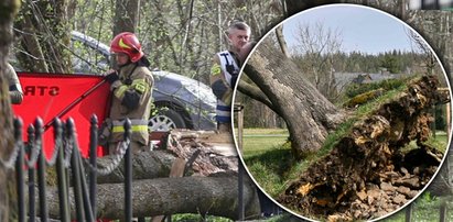 Tragiczna śmierć rodziny w Rabce-Zdroju. Tymek i jego mama razem ruszą w ostatnią drogę