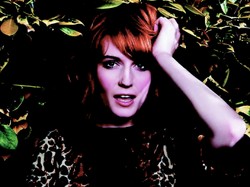 Gwiazdy śpiewają w hołdzie Buddy'emu Holly