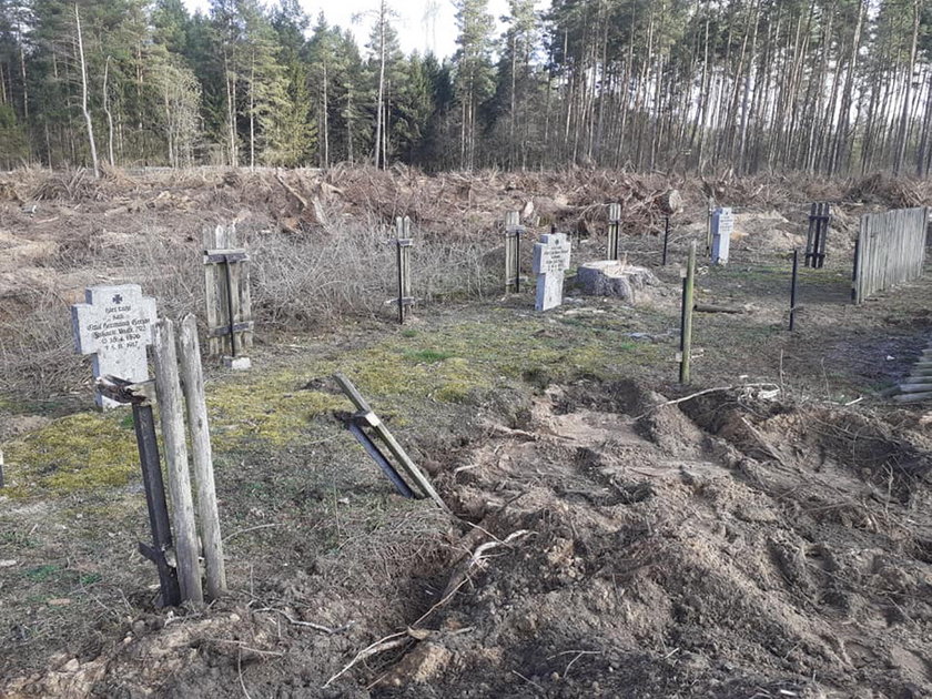 Na cmentarzu wykarczowano drzewa razem z nagrobkami. Zniszczenia dokonał proboszcz?