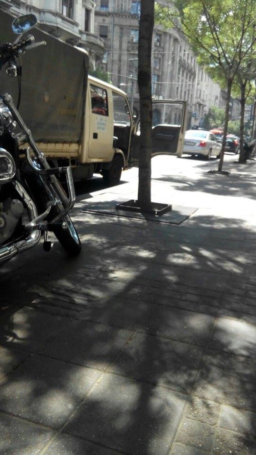 Ekipe "Zelenila" na terenu