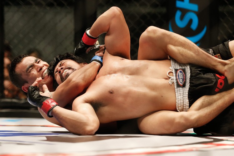 Ale młócka! MMA to nie tylko UFC i KSW