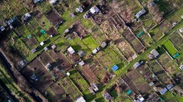 starosta może wszcząć postępowanie w sprawie scalenia gruntów, zanim w