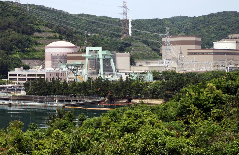 5. Elektrownia atomowa Tsuruga w Japonii. Pierwszy reaktor w tej elektrowni rozpoczął pracę 14 marca 1970 roku, a reaktor nr 2 – w 1987 roku. W późniejszym czasie elektrownia została wyposażona w bardziej efektywny tzw. reaktor prędki powielający (z ang. fast-breeder reactor), nie jest on jednak obecnie wykorzystywany. Elektrownia Tsuruga znajduje się pod szczególnym nadzorem w związku z licznymi trzęsieniami ziemi, które nawiedzają Japonię. W latach 1994-2010 wykryto tu 22 usterki lub zdarzenia, które ze względów bezpieczeństwa wymagały powiadomienia japońskiego urzędu dozoru jądrowego.