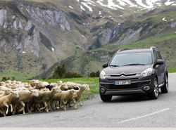 Mitsubishi ma nowe plany…