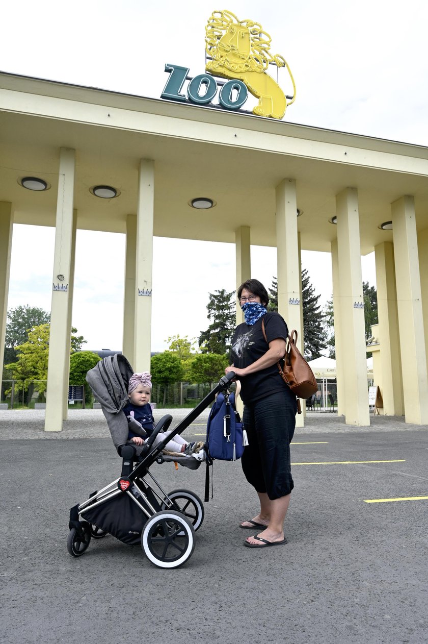 Odwiedź wrocławskie zoo