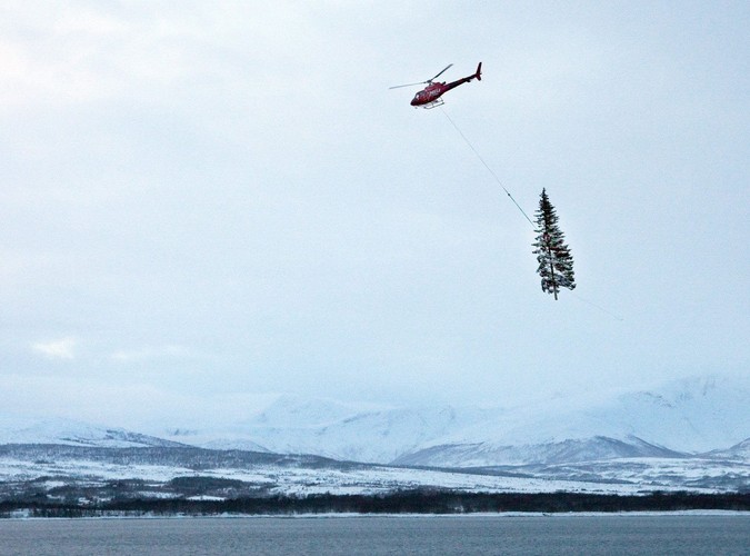 Śmigłowiec transportuje choinkę do norweskiego Tromso