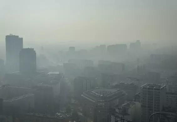 Smog i zanieczyszczenia powietrza mogą prowadzić do depresji. Najbardziej zagrożeni są mieszkańcy dużych miast