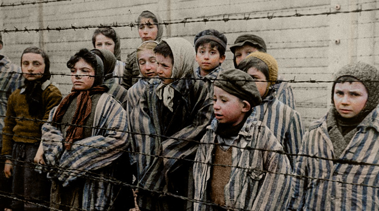 Gyermek foglyok Auschwitzban / Fotó: Northfoto