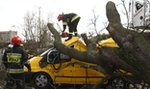 Tragiczny bilans wichury nad Polską