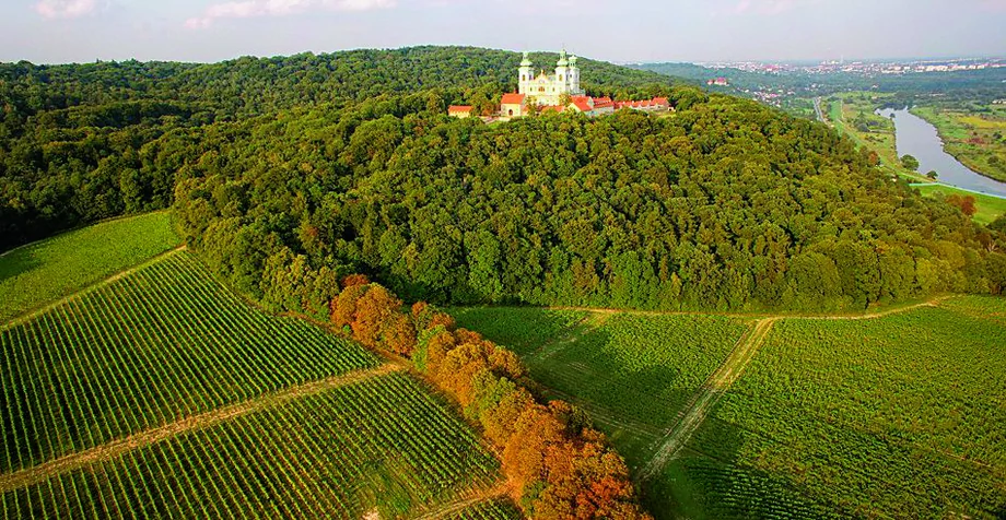 Leżąca u stóp klasztoru kamedułów w Krakowie Winnica Srebrna Góra produkuje wina ze szlachetnych, ale i hybrydowych odmian winogron. Znana jest m.in. z wina „Polka” dostępnego w Lidlu