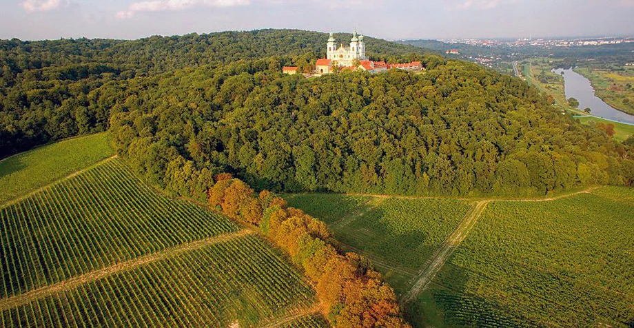 Leżąca u stóp klasztoru kamedułów w Krakowie Winnica Srebrna Góra produkuje wina ze szlachetnych, ale i hybrydowych odmian winogron. Znana jest m.in. z wina „Polka” dostępnego w Lidlu