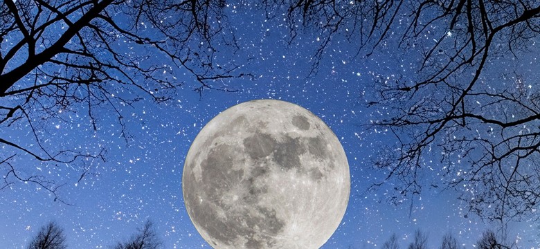 Ta noc zmieni wszystko - odkryj sekret pełni dyniowej 2025 i przygotuj swój rytuał!