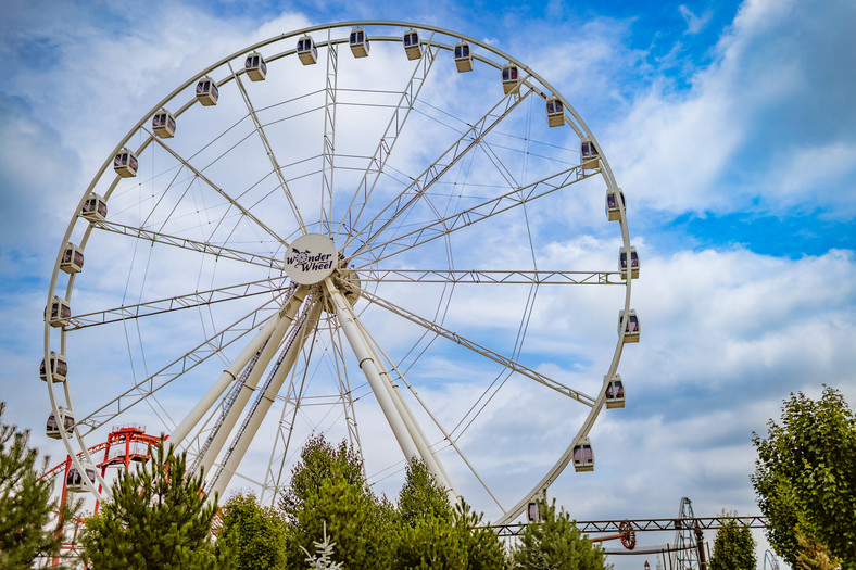 Wonder Wheel