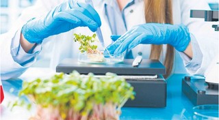 ESG w polu. Duży biznes może wesprzeć zrównoważone rolnictwo