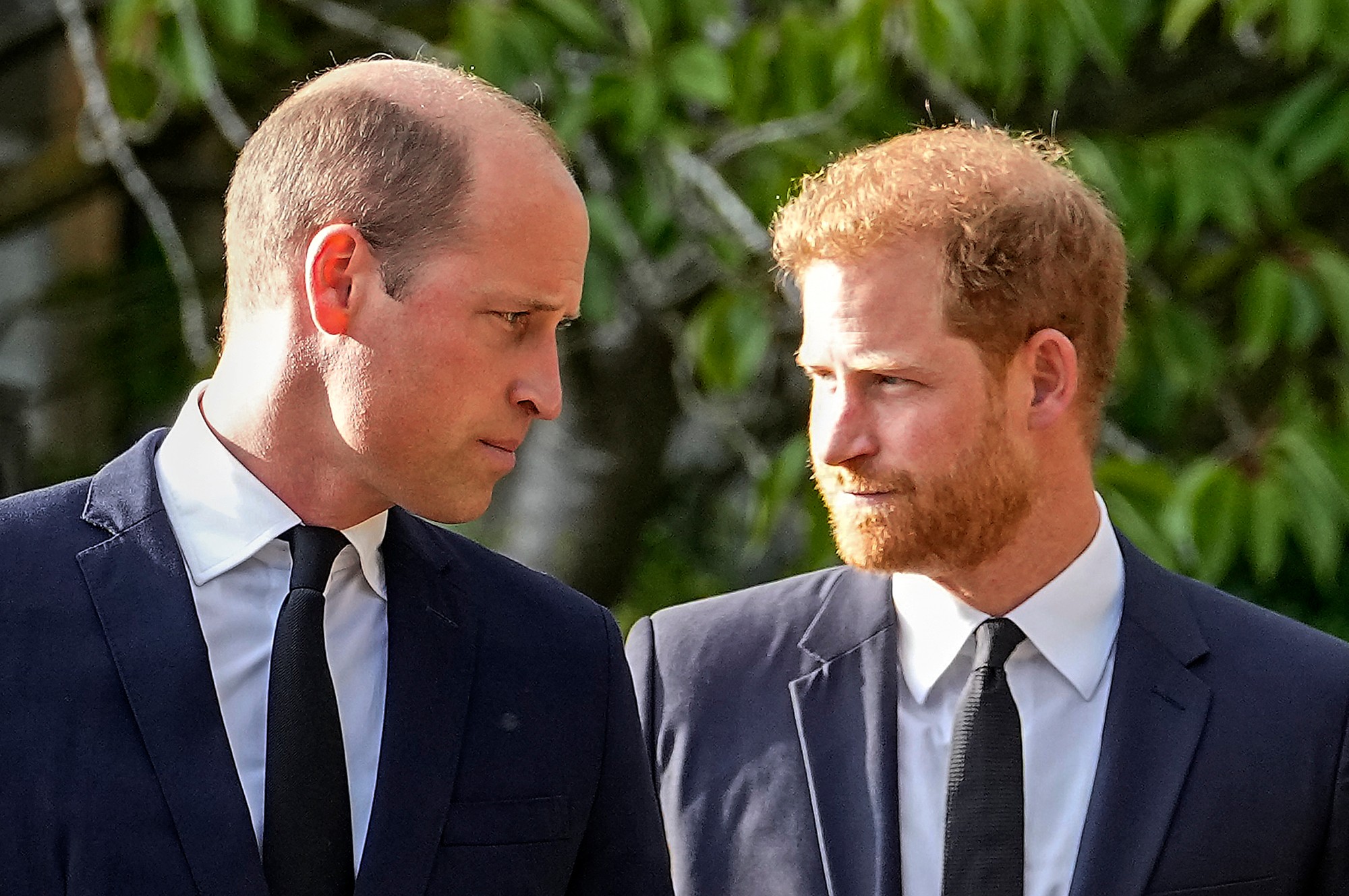 Princovia William a Harry.