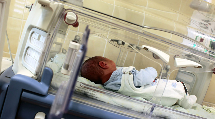 Újszülött kislányt hagytak a a babamentő inkubátorban / Képünk illusztráció (fotó: MTI Lehoczky Péter)