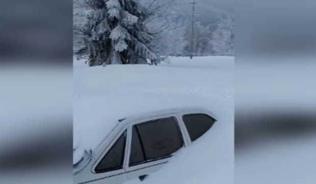 zavejan auto crna trava