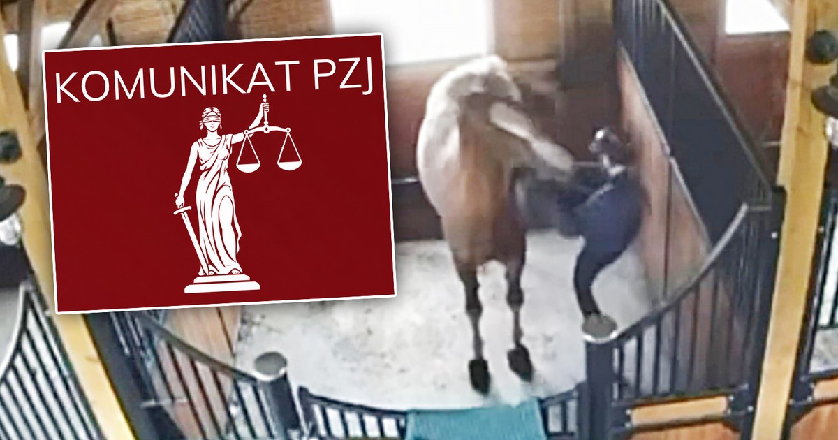 Sędzia PZJ zawieszona po brutalnym maltretowaniu konia – jak Związek reaguje na skandal