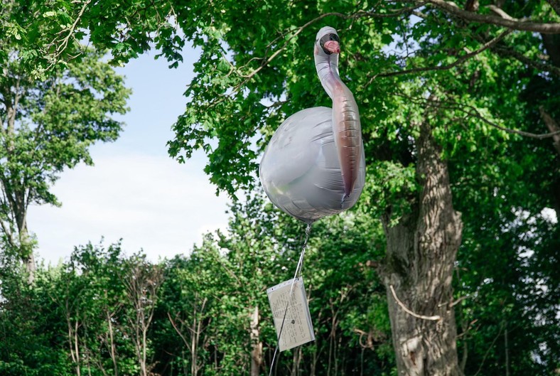 Balon znaleziono w Nadleśnictwie Parciaki w województwie mazowieckim