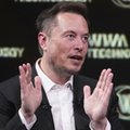 Elon Musk będzie rekrutował w Szczecinie. Jest data