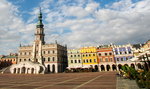 Szokujące sceny w Zamościu. Zrobił to dla zakładu