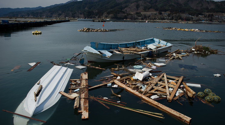 A tengeri élőlények a műanyag hulladékon „utaztak” Japánból Amerikába/Fotó: AFP