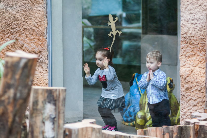 Warany ze Starego ZOO w Poznaniu mają nowy wybieg