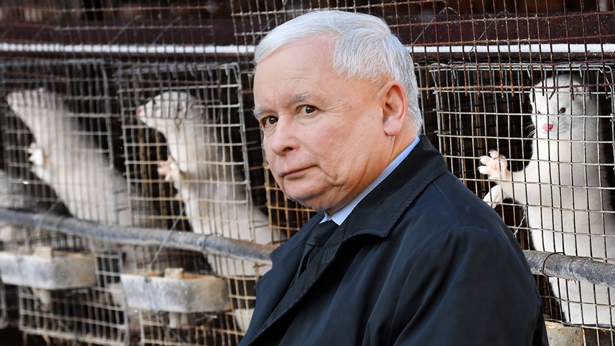 Jarosław Kaczyński zwierzęta