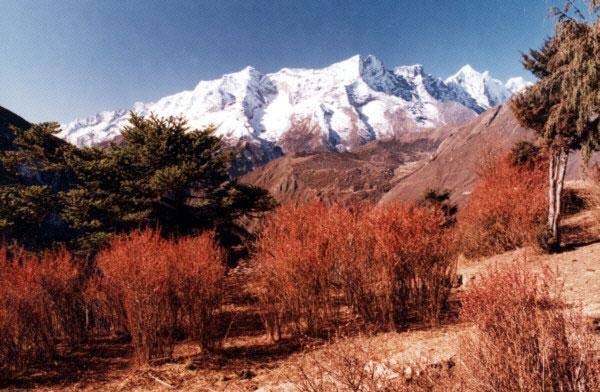 Galeria Nepal – Rejon Mount Everestu, obrazek 3
