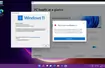 Aplikacja Microsoftu informuje o niespełnianiu wymagań Windows 11... na wersji Preview Windows 11.