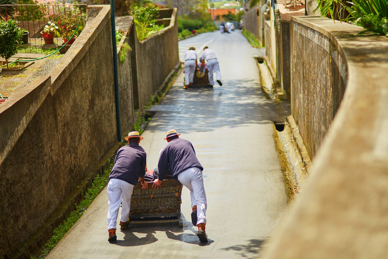 Carros de cesto