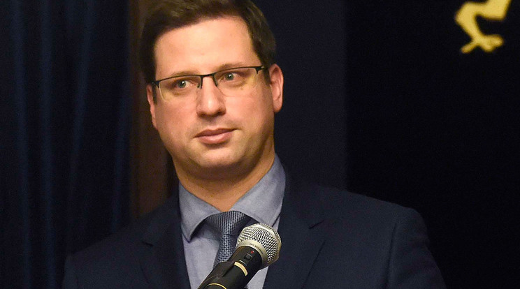 Gulyás Gergely Miniszterelnökséget vezető miniszter / Fotó: MTI/Bruzák Noémi