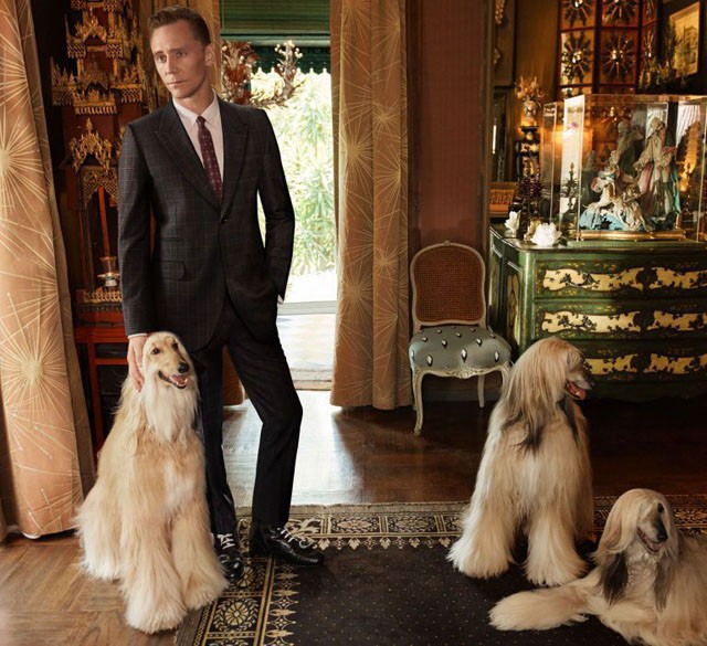 Tom Hiddleston Gucci
