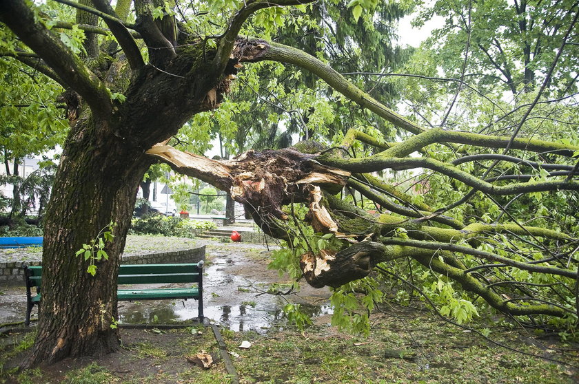 Trąba powietrzna na Pomorzu! Żywioł zrywał dachy i łamał drzewa jak zapałki