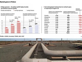 UOKiK przygotuje zmiany umów gazowych dla przemysłu