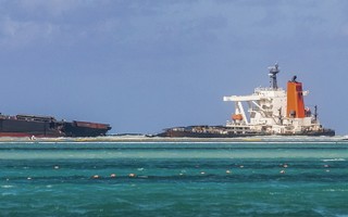 Mauritius: Delfiny giną z powodu osiadłego na mieliźnie tankowca