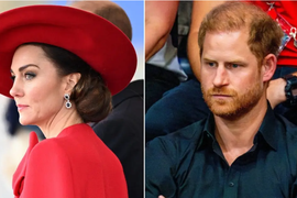 Kejt Midlton imala TAJNI SASTANAK SA PRINCOM HARIJEM: Čim se Vilijam pokupio i otišao iz zemlje princeza od Velsa odmah ZVALA NJEGOVOG BRATA