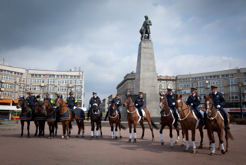 ŁÓDŹ SZKOLENIE KONNEJ STRAŻY MIEJSKIEJ