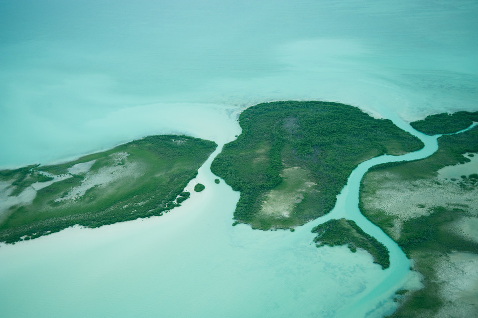 Belize, rezerwat rafy koralowej