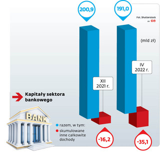 Kapitały sektora bankowego