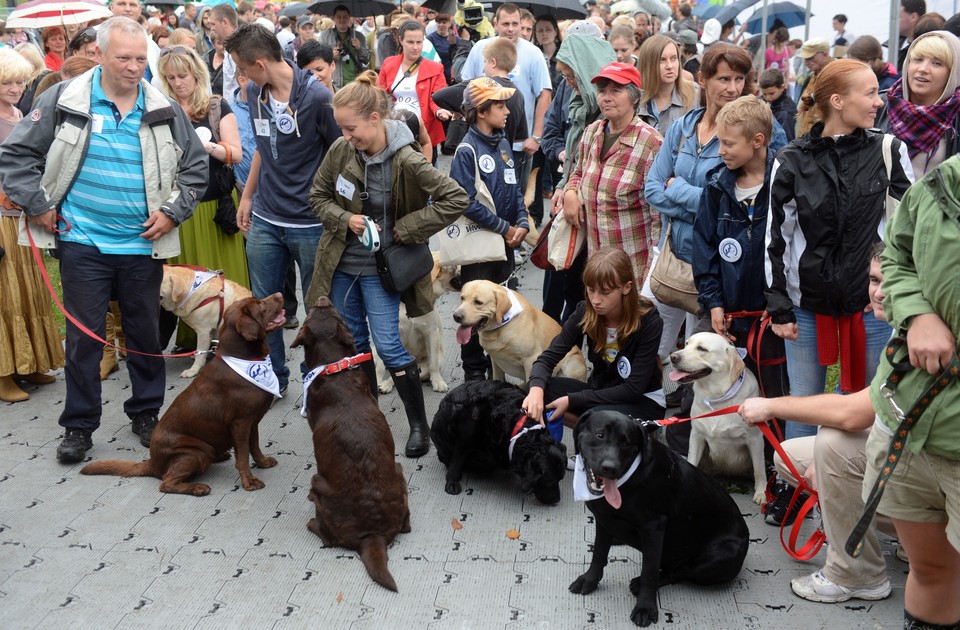 WARSZAWA PARADA LABRADORÓW