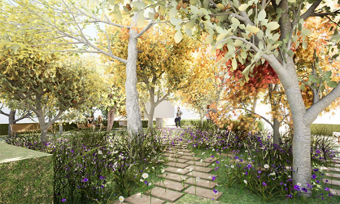 To będzie piękne podwórko z interesującymi gatunkami drzew i krzewów. 