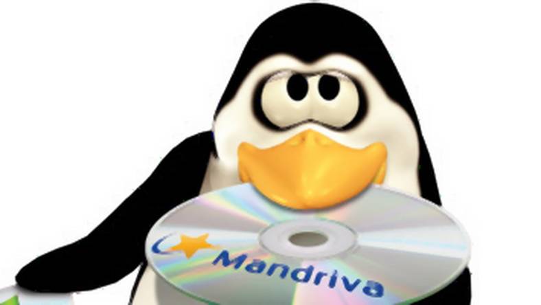 Dostęp do internetu przez kartę sieciową w Mandriva Linux 2009