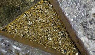 Saxo Bank: Trzymajcie się, idzie wysoka fala na rynkach surowców