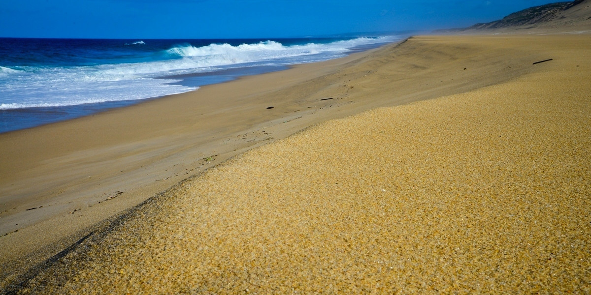 Costa Vincentina to wybrzeże idealne do pieszych wędrówek i obserwacji przepięknej natury.